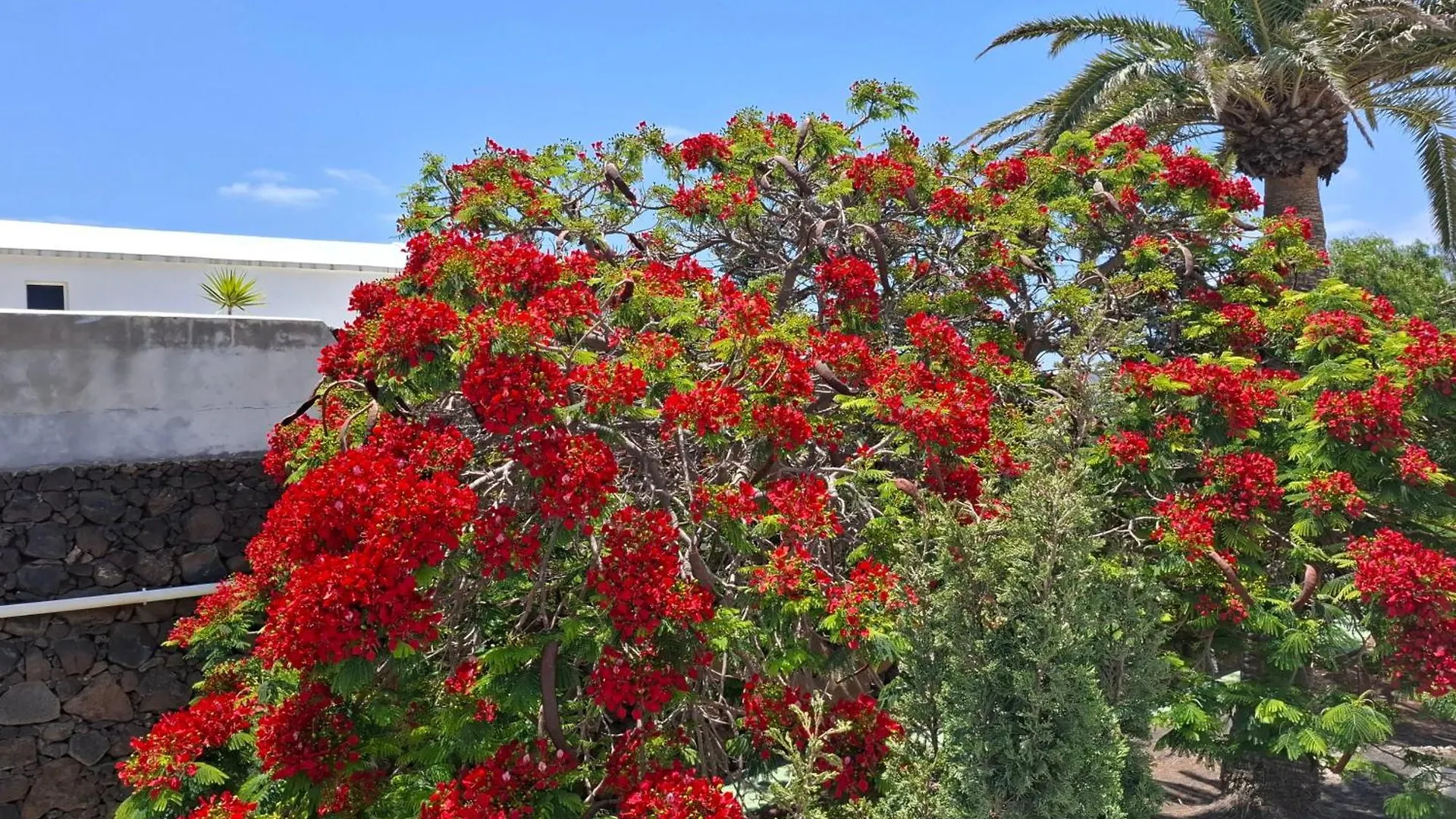 Daire Loma Verde Puerto Del Carmen